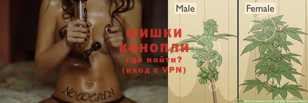 МДПВ Навашино