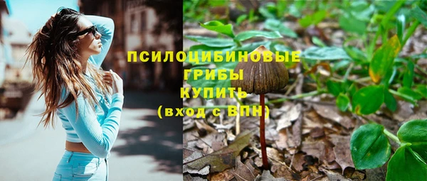 а пвп мука Наволоки