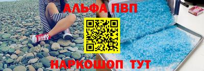 индика Гатчина