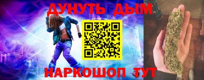 индика Гатчина