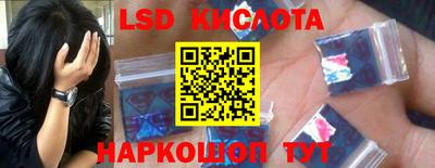 индика Гатчина