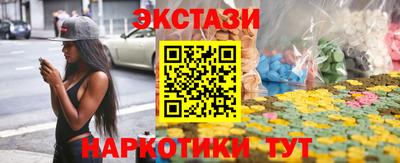 индика Гатчина