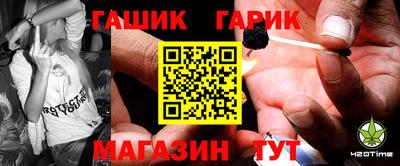 индика Гатчина