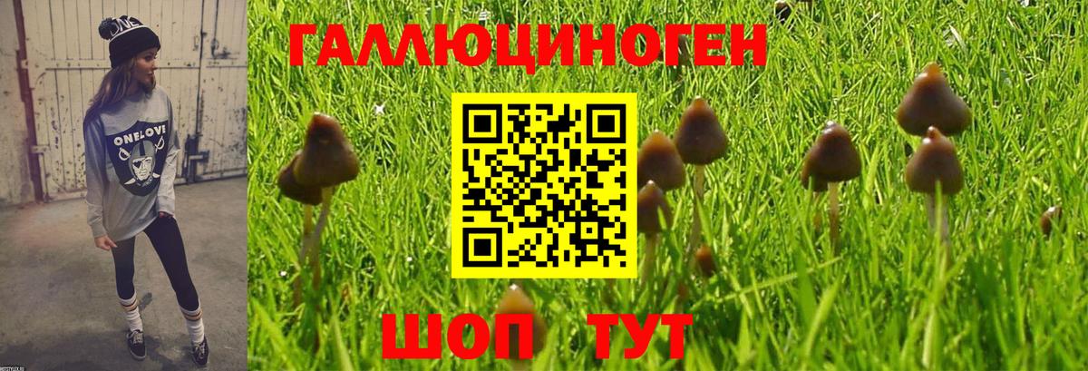 Изобильный  Галлюциногенные грибы GOLDEN TEACHER  Псилоцибиновые грибы Cubensis  Вход с VPN 