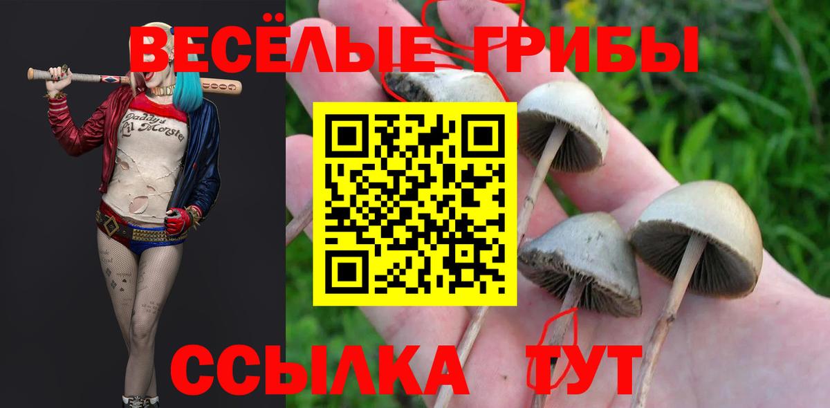 Псилоцибиновые грибы Cubensis Изобильный